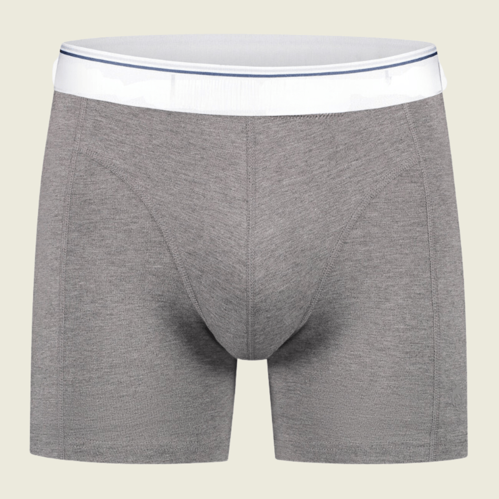 Boxer long en fibre de bambou S / Gris